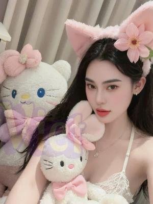 Cherry (VN0111) Car Model In Vietnam